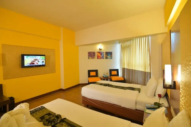 Superior Twin room with city view