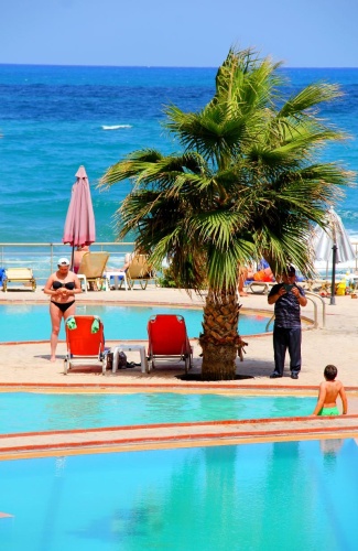 White Olive Elite Rethymno photo 26