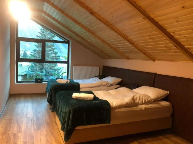Standard Twin room with mountain view