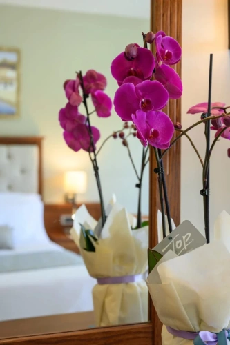 Economy Twin room with balcony