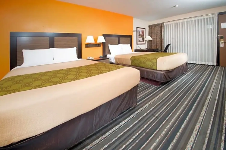 Standard Double room with pool view