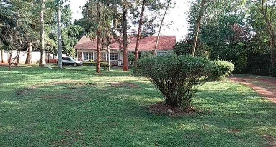 studio 62 guest house