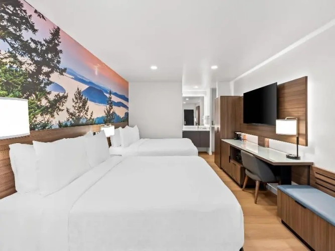 Twin Suite