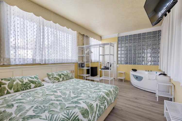 Standard Double room with view