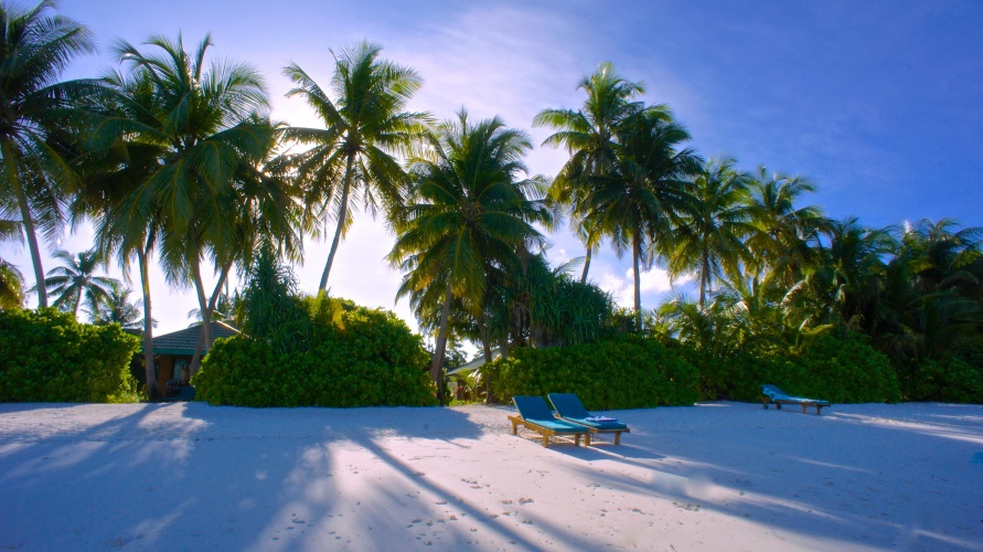 Canareef Resort Maldives photo 10
