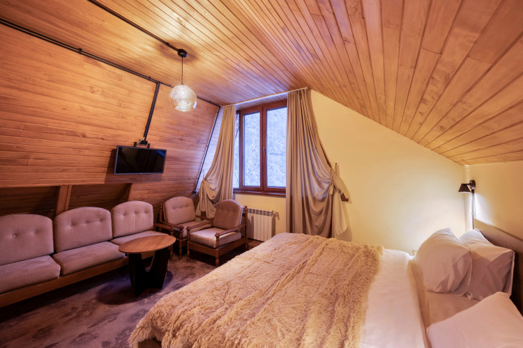 Фотография номера гостиницы Alpine Castle