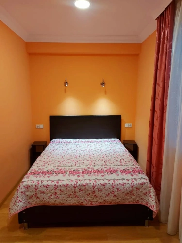 Standard Double room with mountain view