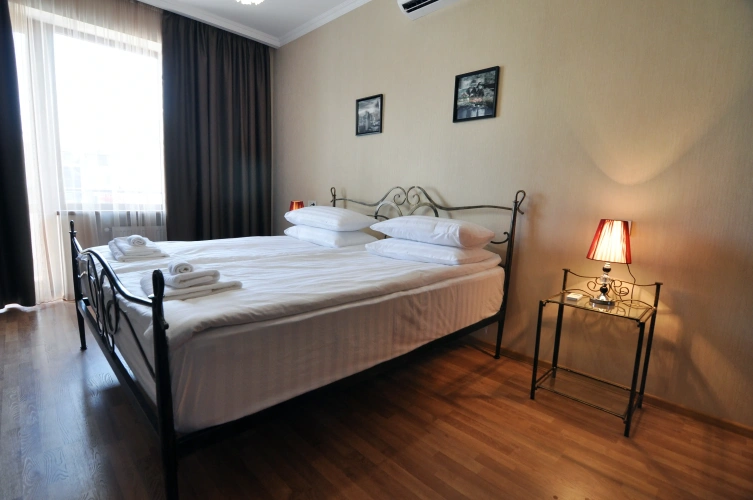 Standard Double room with balcony and with view