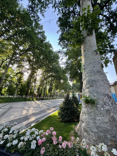 Aliz Boulevard Hotel