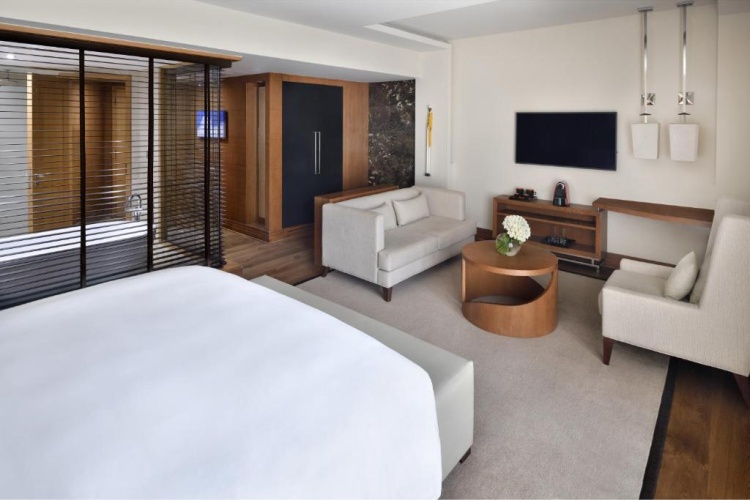 Junior Suite with balcony and with view
