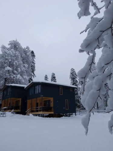 Фотография номера апарт отеля ЗимаЛето