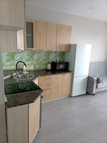 Фотография номера квартиры Апартаменты на Аэропорте 2