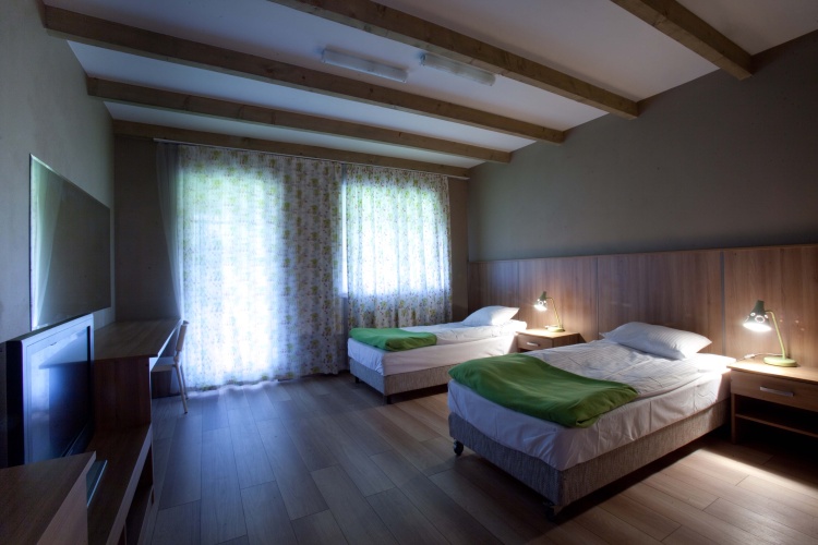 Standard Double room with balcony and with view