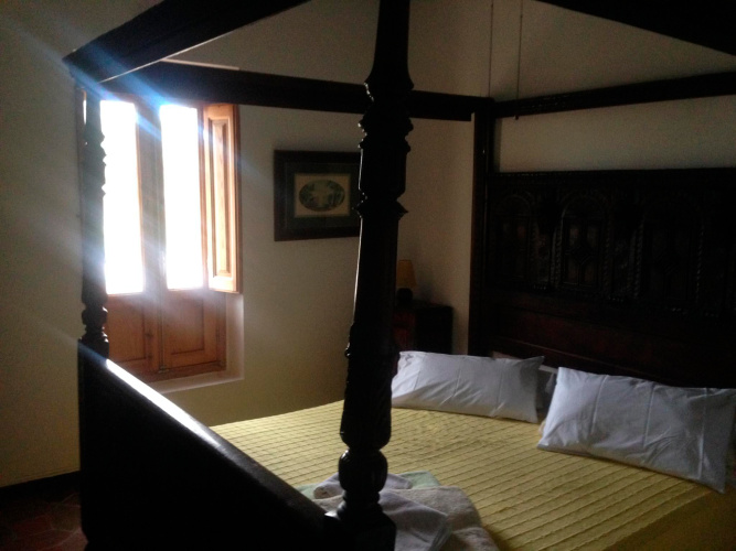 Amarilla room