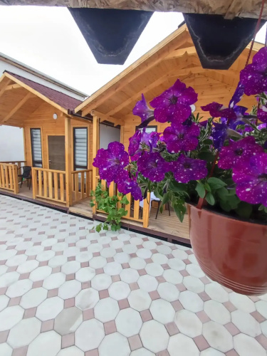 Belaya Lebed Mini-Hotel