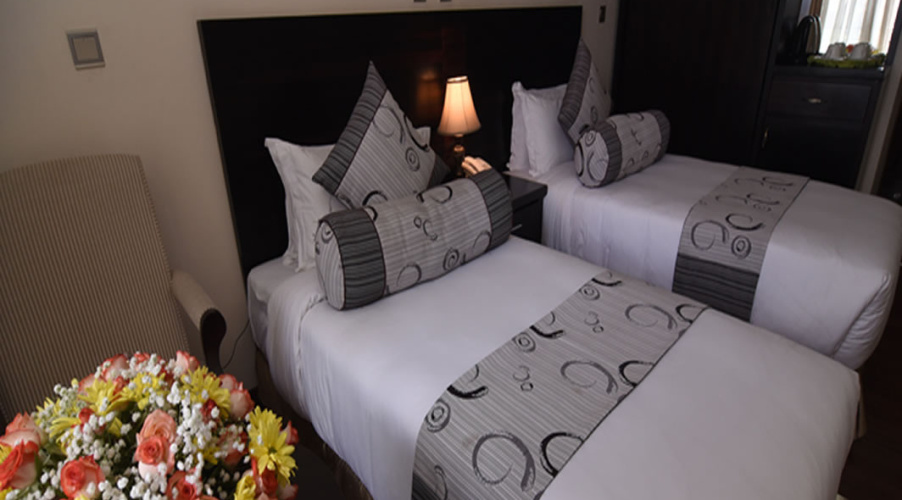 Superior Twin room with view