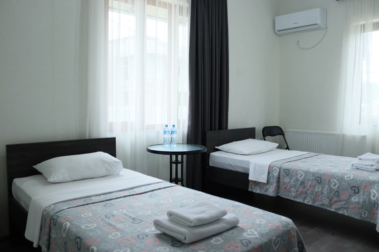 Standard Twin room with balcony and with view