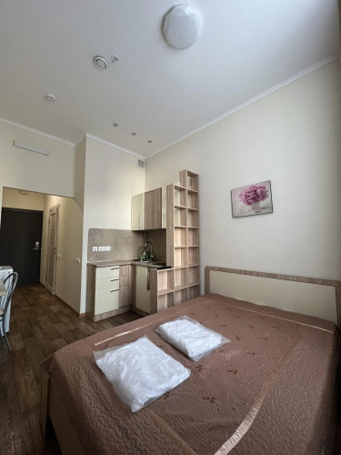 Фотография номера квартиры Апартаменты Саквояж 2