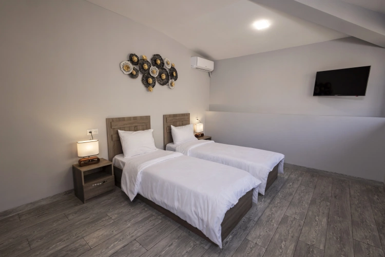Standard Double room with city view