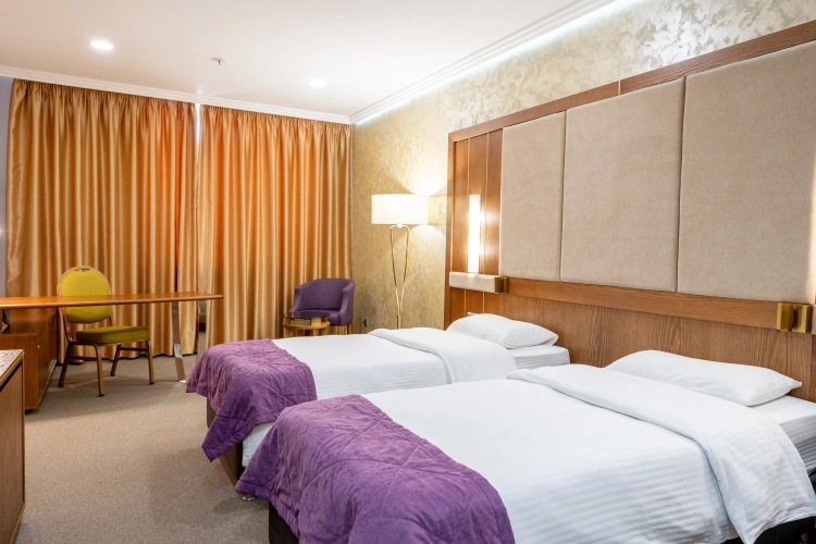 Standard Twin room with city view