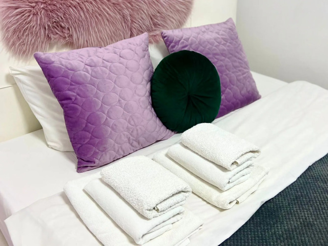 Фотография номера квартиры Апартаменты на Суздальской SmileRoom