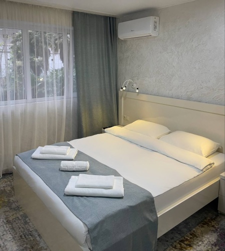 Standard Double room with balcony and with garden view