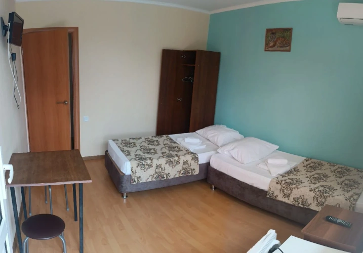 Standard Double room with balcony and with view