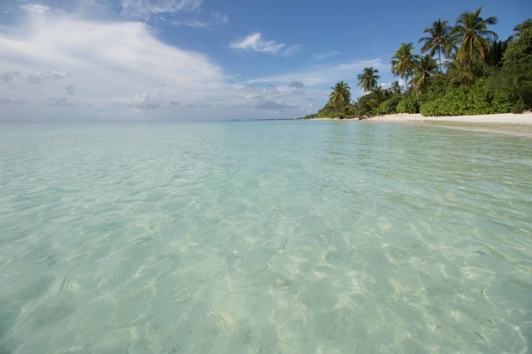 Canareef Resort Maldives photo 7