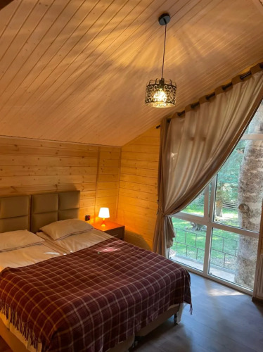   - изображение 1