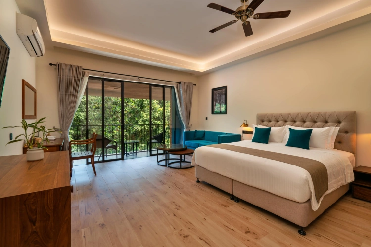 Superior Double room with balcony and with view