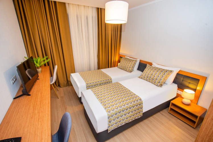 Standard Twin room with balcony and with view