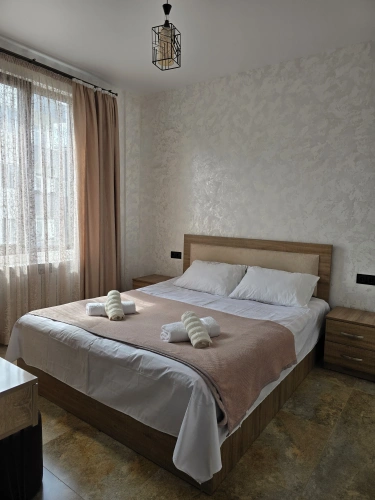 1 Bedroom Deluxe Double Apartment with balcony and with view