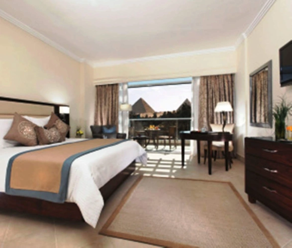 Standard Single room with balcony and with view