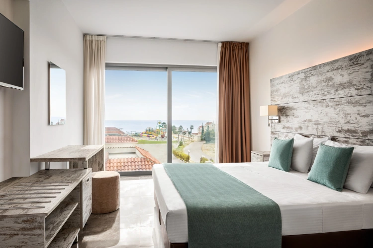 Deluxe room with balcony and with view