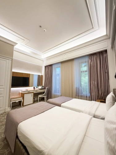 Deluxe Twin room with city view