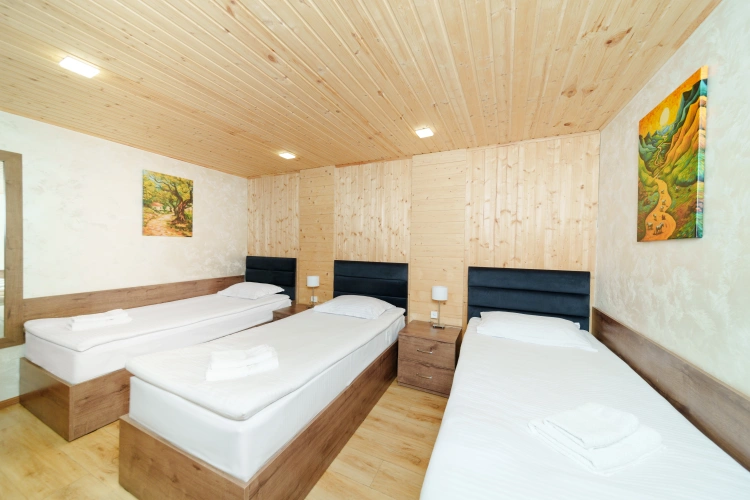 Superior Double room with balcony and with view