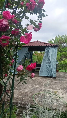 Assol Guest house
