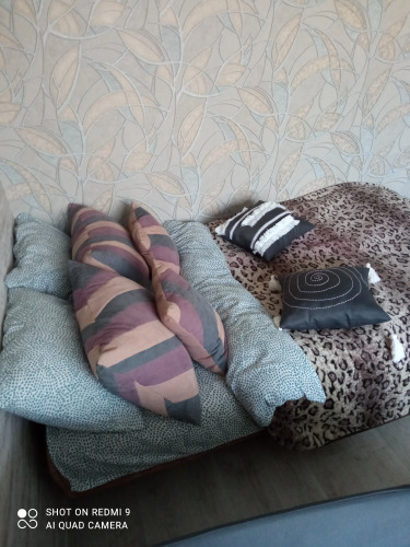 Фотография номера квартиры Апартаменты Жили Были