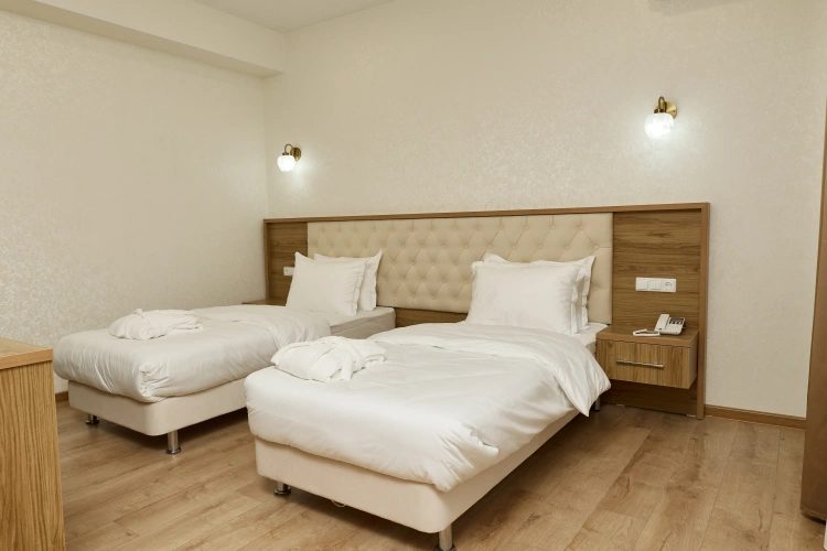 Deluxe Twin room with city view