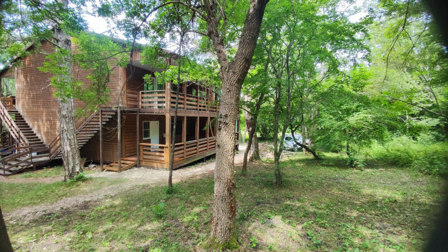 Фотография номера мини отеля Зеленый бор