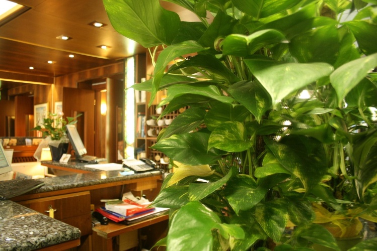 Hotel Centrale photo 28