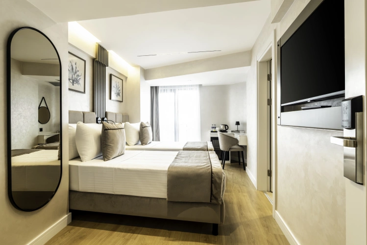 1 Bedroom Deluxe Suite with view