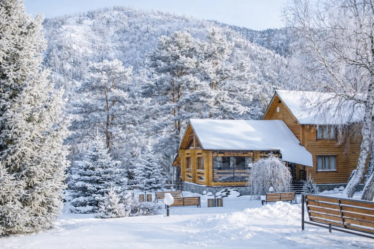 Изображение 1