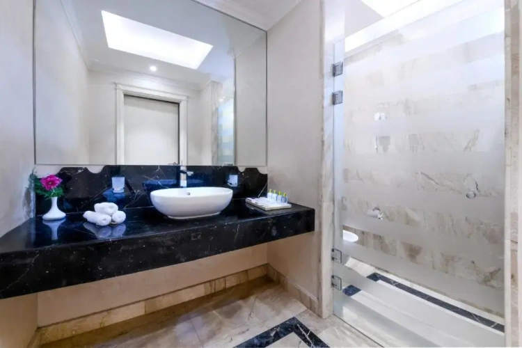 Deluxe Single room
