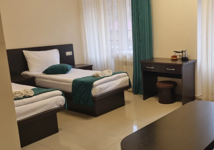 1 Bedroom Standard room with balcony and with mountain view