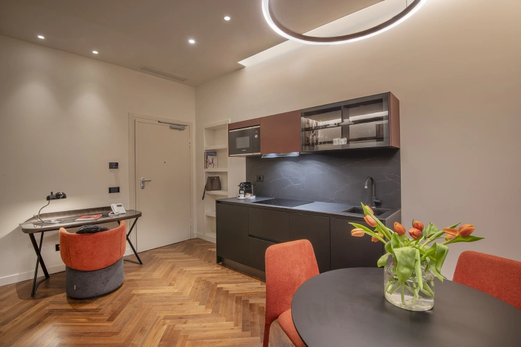 Deluxe Double Apartment with view