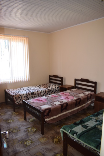 Economy Triple room with view