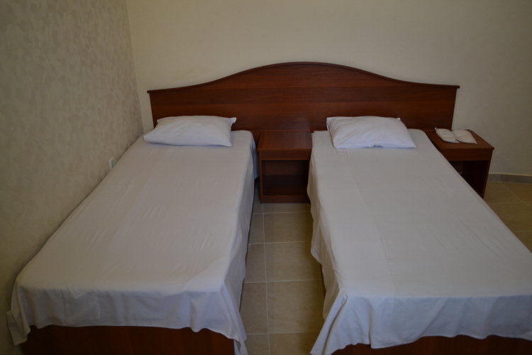 Фотография номера гостиницы Дюма