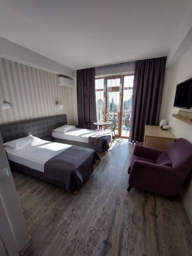 Standard Double room with balcony and with view