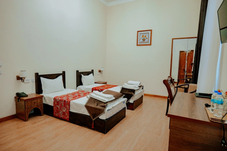 Standard Twin room